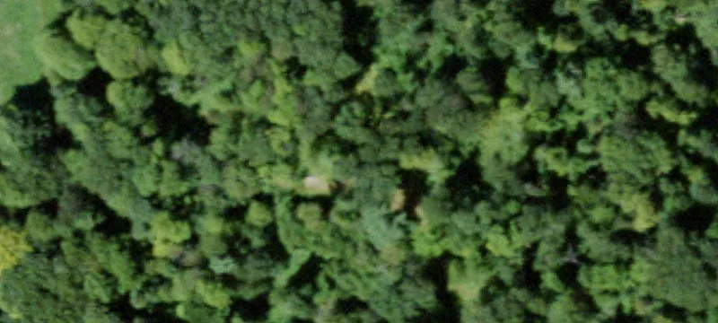 Rt 8th Site