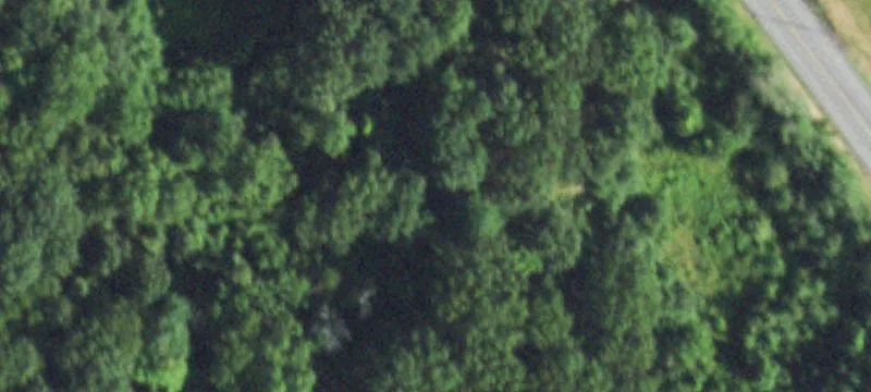 13 Arborist Way