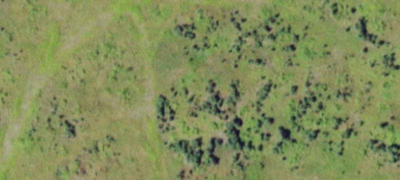 Dutch Hl Rd