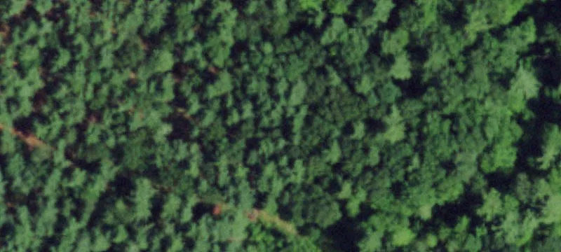 40 Sullivan Rd