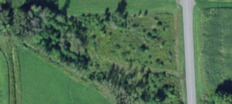 Yaegel Rd