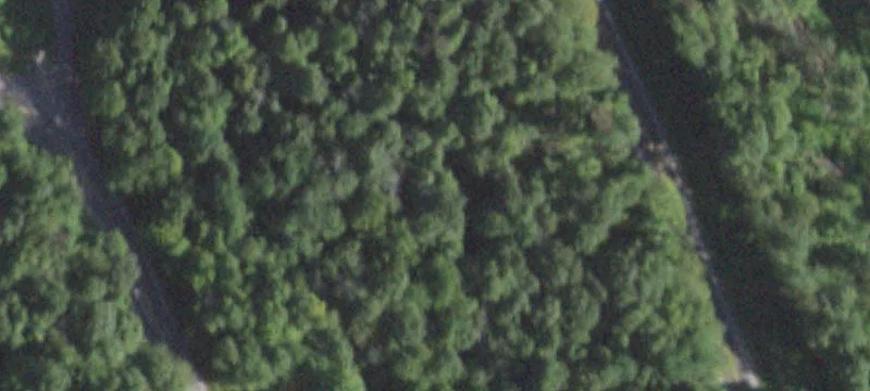1196 Farmers Mls Rd