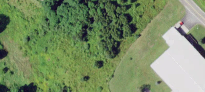 Pony Farm Rd