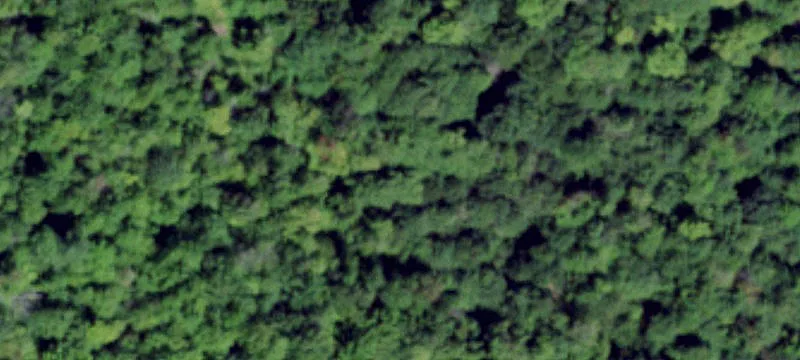 Edwards, NY 13635