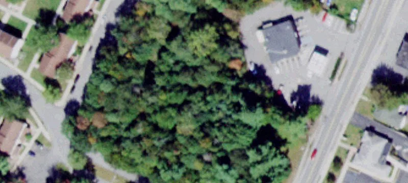 Forestburgh Rd