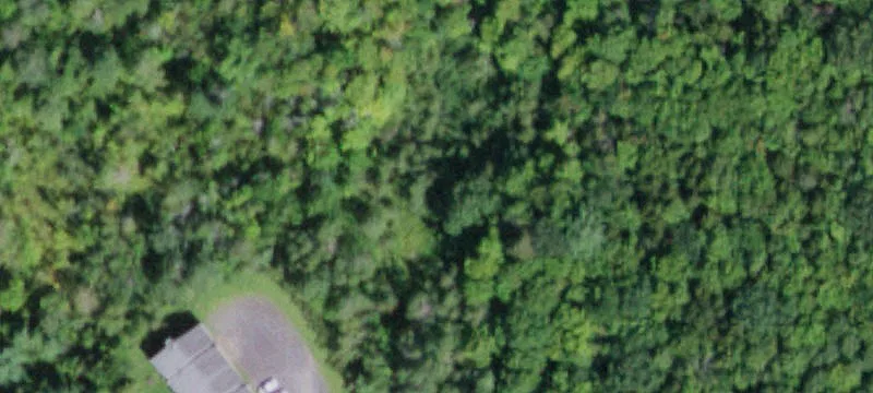 Hunter, NY 12442