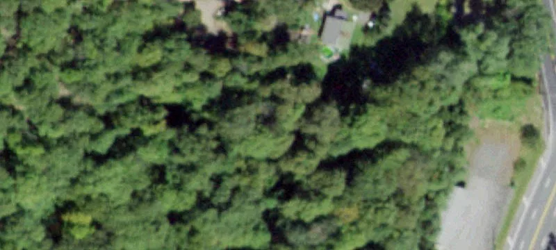 Rte 19