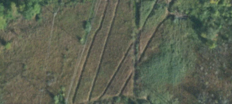 Quaker Rd