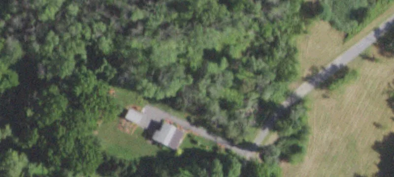 Bischoff Ln