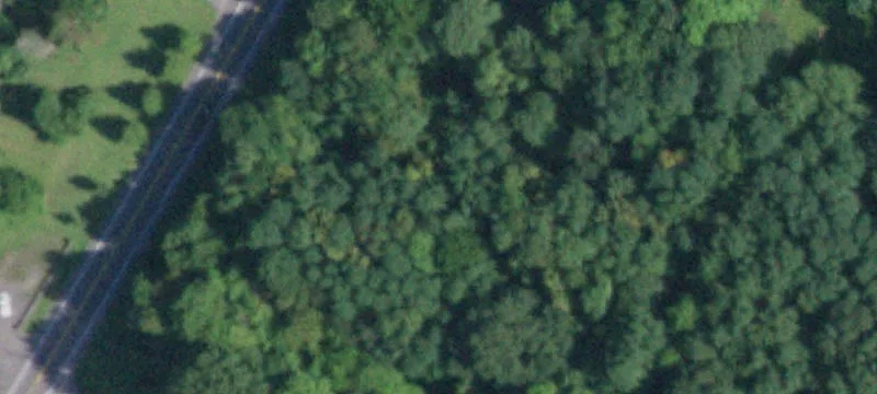 Rt 9w