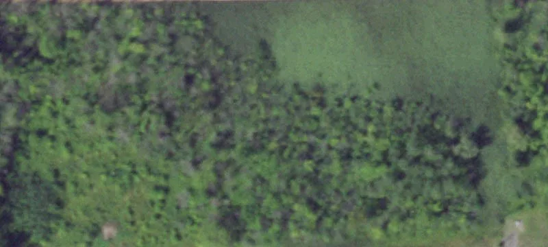 Myers Rd