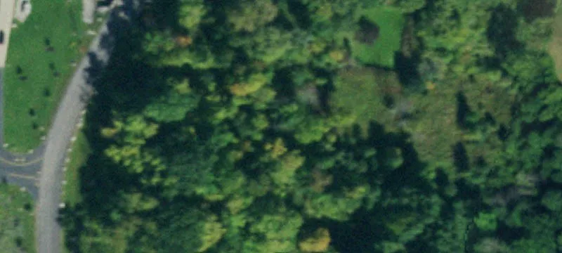 Big Tree Rd