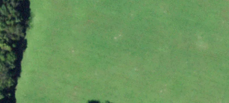 84 Plns Rd