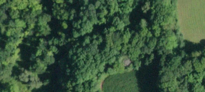 824 Randall Rd