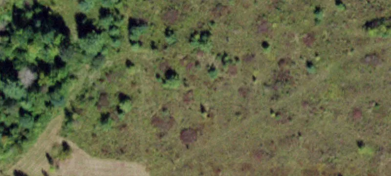 Sapsucker Woods Rd