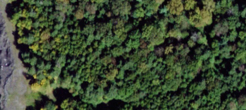 Mueller Rd