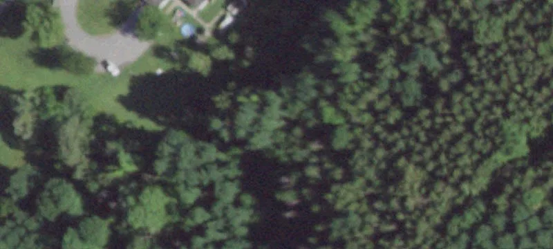 298 Hutchinson Ave
