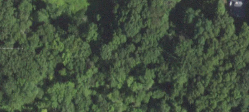 Beech Hl Rd