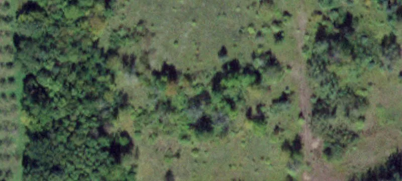 Wolcott, NY 14590