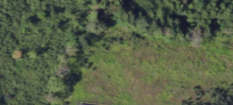11292 Nys Rt 13
