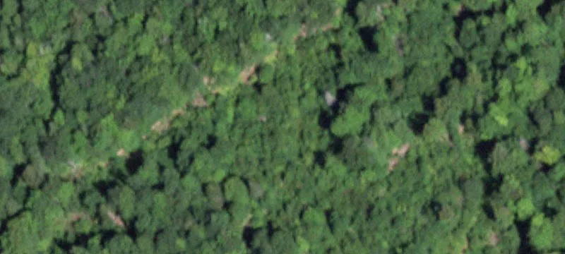 Pinnacle Rd
