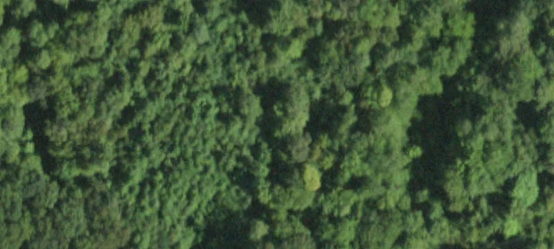 Rte 299