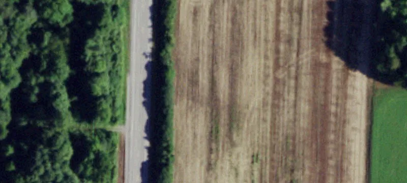 Rte 19