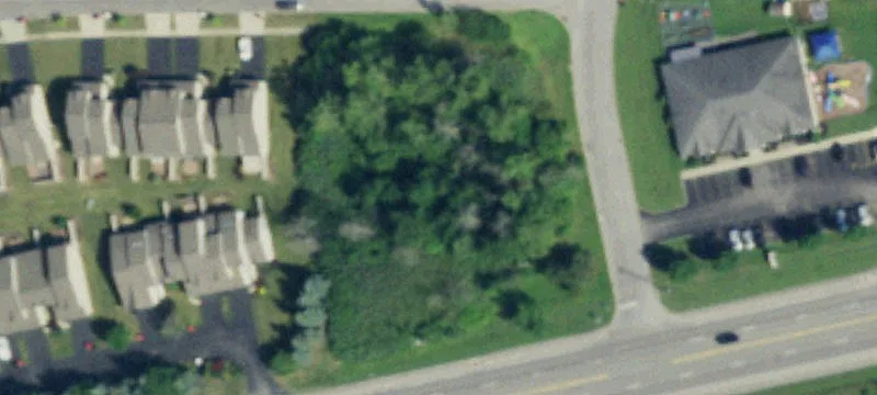 Walden Ave