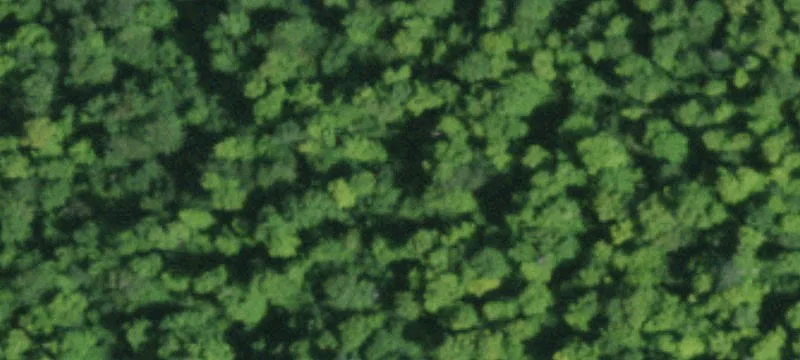 Gynn Rd