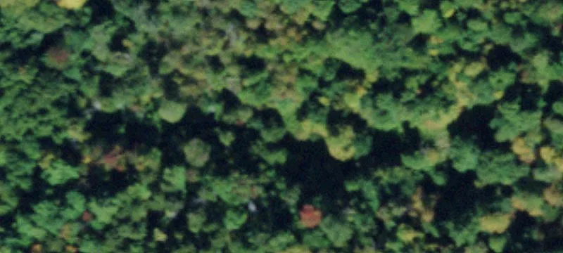 342 Dana Hl Rd