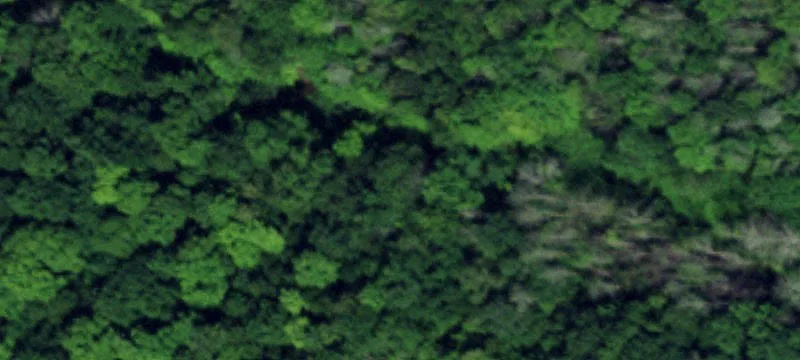 Milestrip Rd