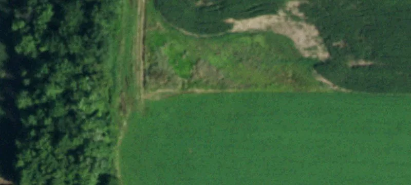 Oakfield, NY 14125