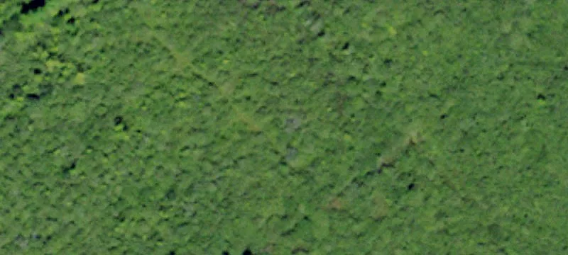Ogdensburg, NY 13669