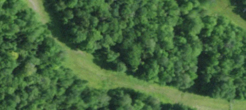 Helms Rd