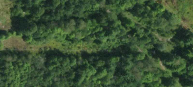 Plank Rd