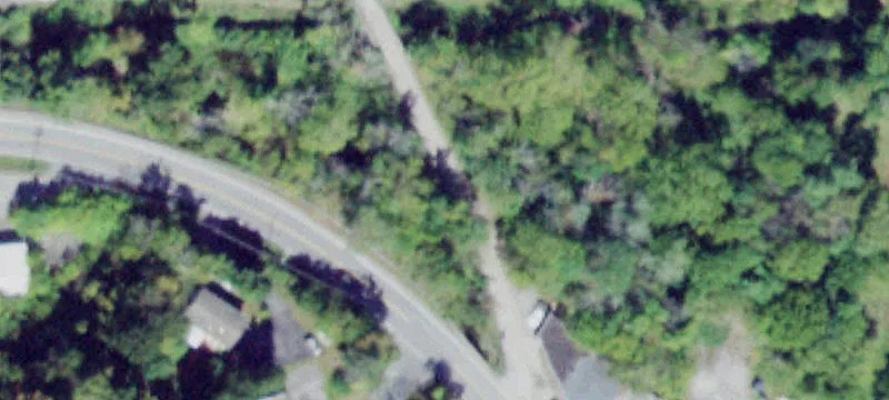 Maple Ave