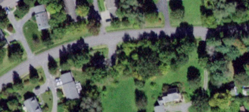 Woolf Ln