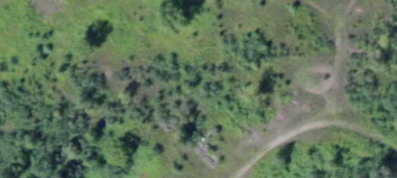 Williams Rd