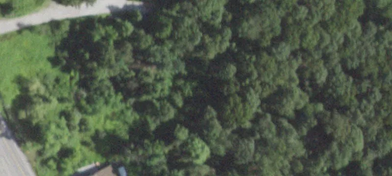 Rte 52