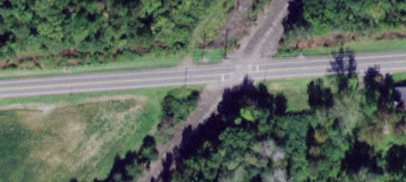 Wilson Rd