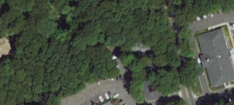 Belle Terre Rd