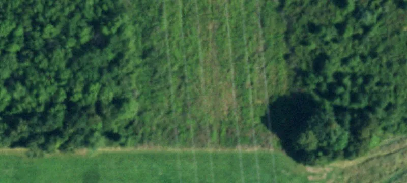 Roy-ha Transmission Land