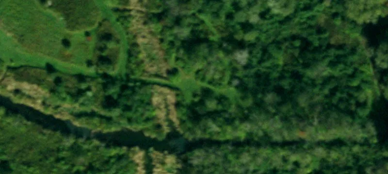 Nys Rte 16