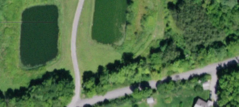 Teichman Rd