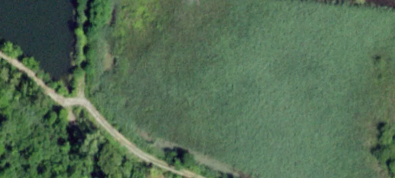 Sand Lk E Rd