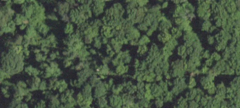 Rt 311
