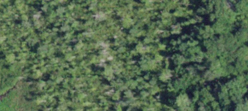Rte 44