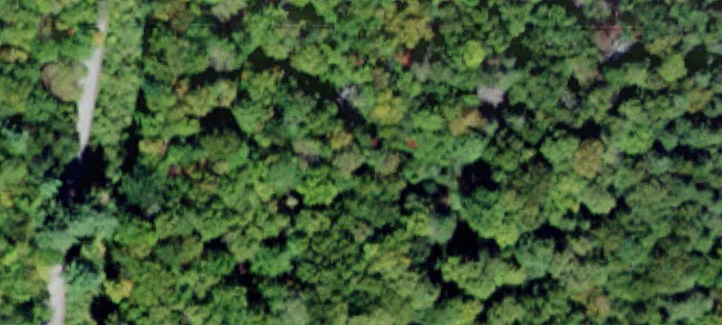 Fallsburg, NY 12733