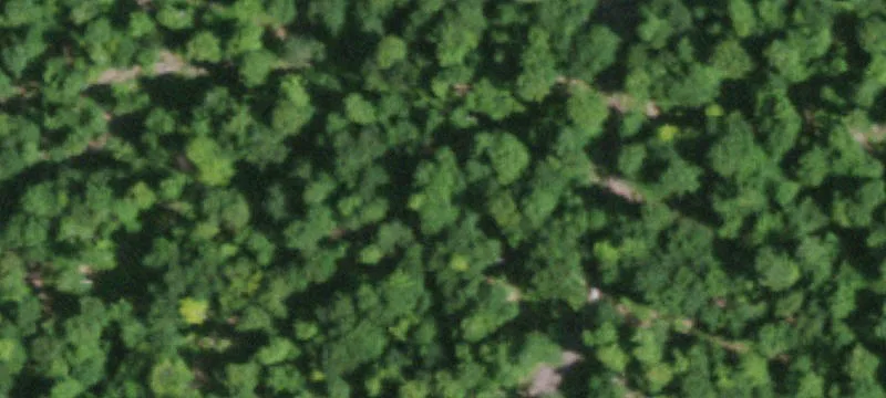 Potsdam, NY 13676