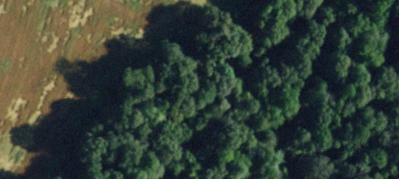 State Rte 22